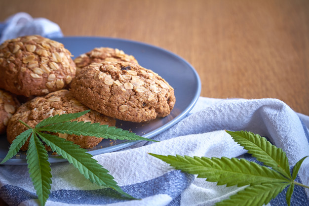 Le CBD dans nos assiettes : un vrai plaisir gustatif !