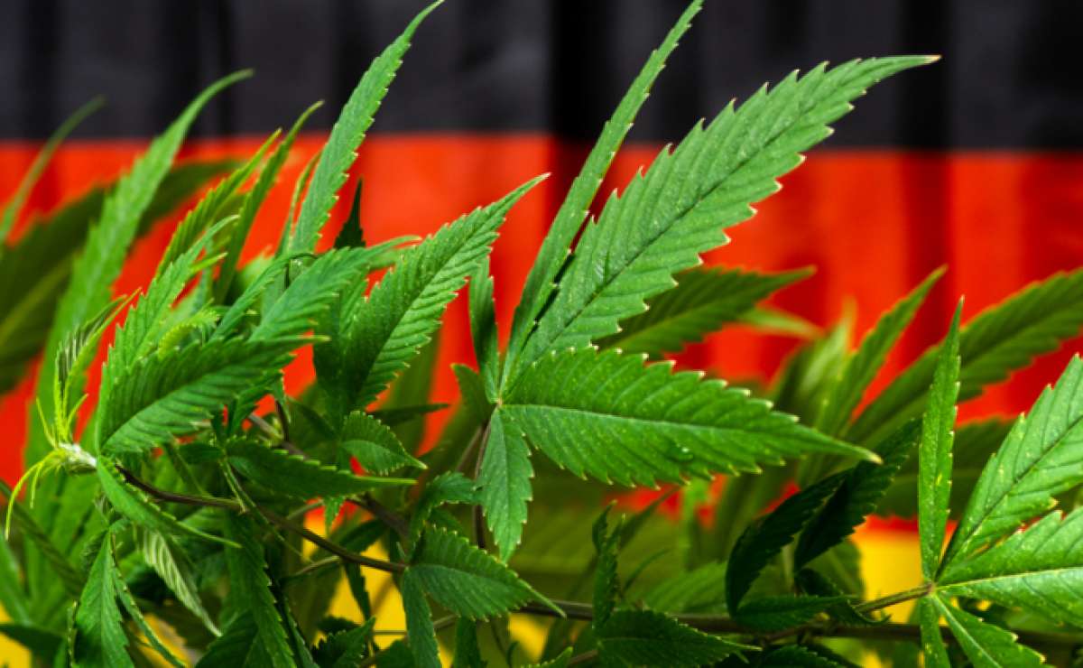 La légalisation du cannabis en Allemagne