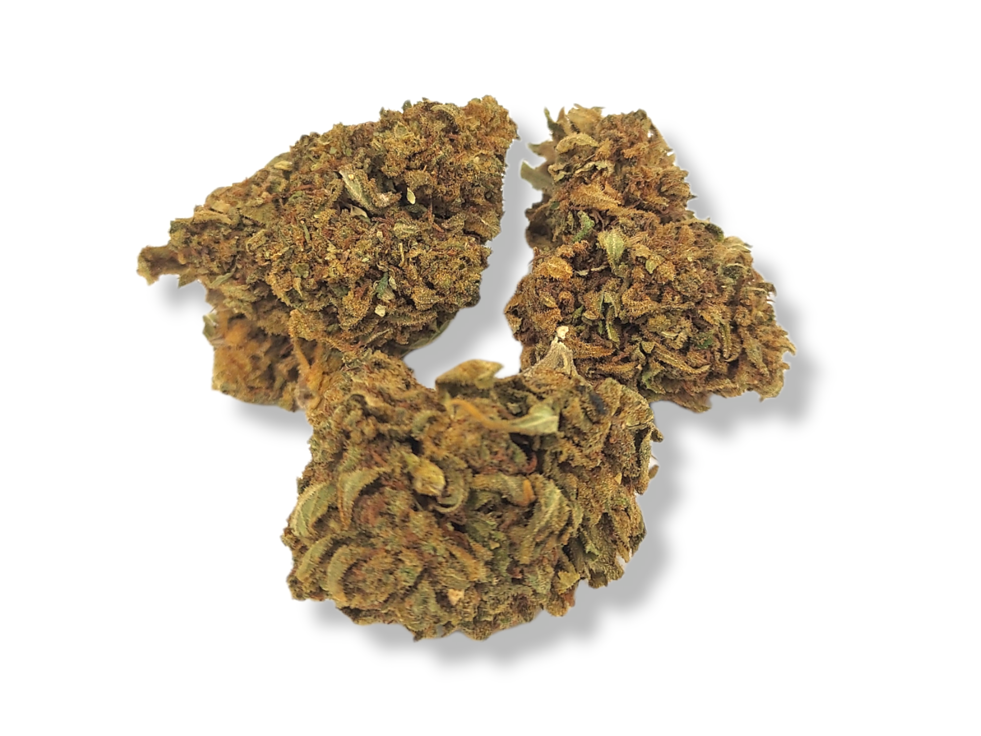 afgan-kush-small-bud-pas-cher-cbd