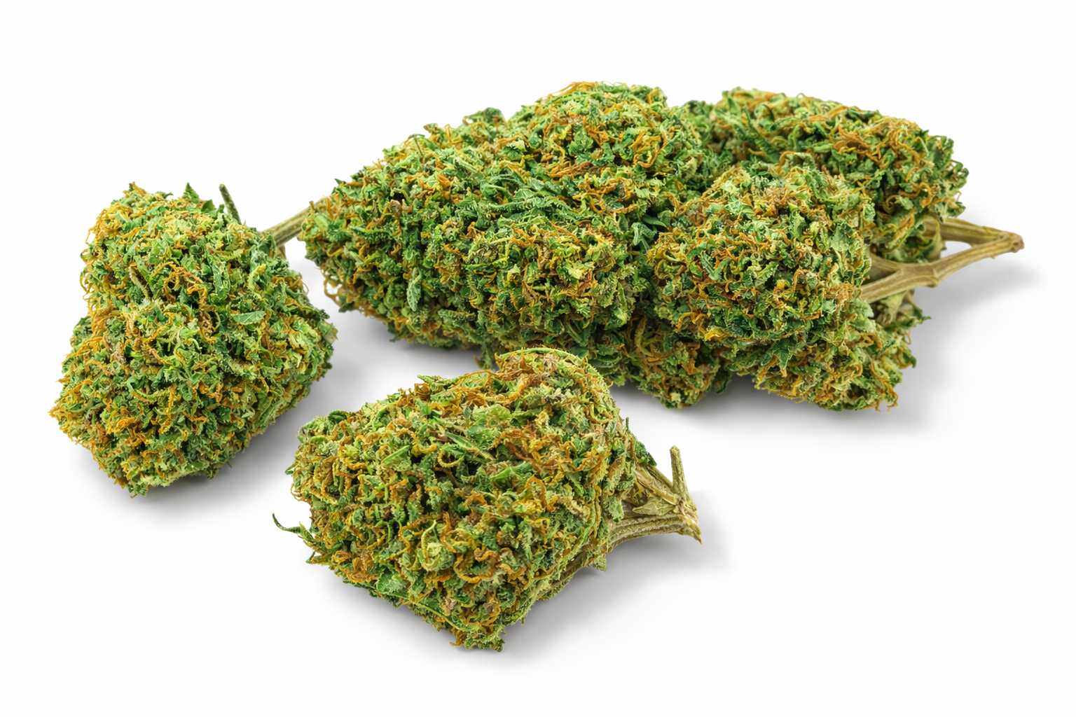 lemon-pop-cbd-plus-chronocbd