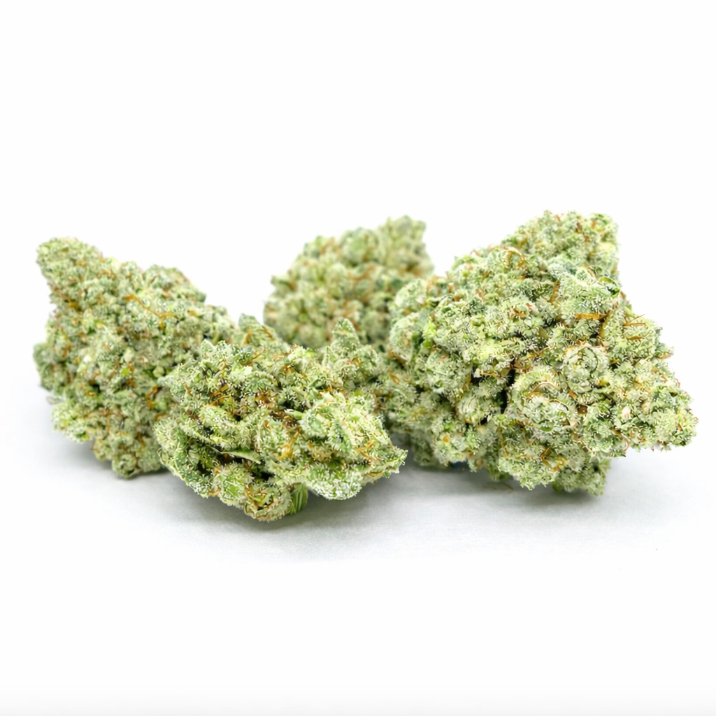 white-widow-hydro-indoor