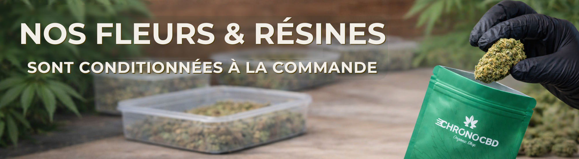 banniere pre rolls 9