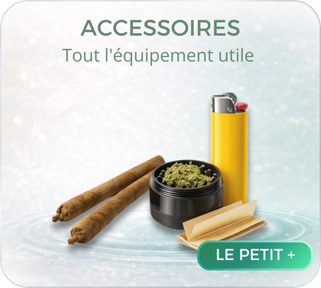 categorie accessoires