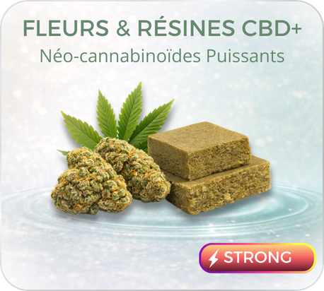 categorie fleurs resines neo cannabinoides 3