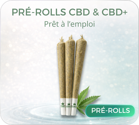 categorie prerolls cbd 1