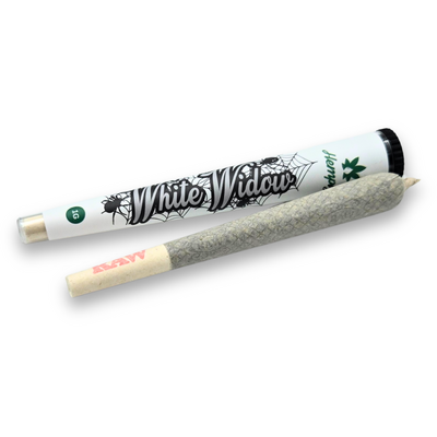 Pré-roll White Widow