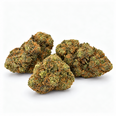 Blueberry DC10
