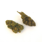 fleur-de-chanvre-cbd-cannabis-legal-amnesia-haze