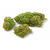 lemon-pop-cbd-plus-chronocbd