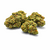 biscotti-fleur-cbd-indoor-premium