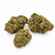 Oreo Cookie CBD