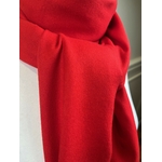 ETOCL-FAN 24 ROUGE 1