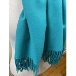 ETOCL-FAN  Bleu canard 1