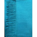 ETOCL-FAN Bleu canard 1