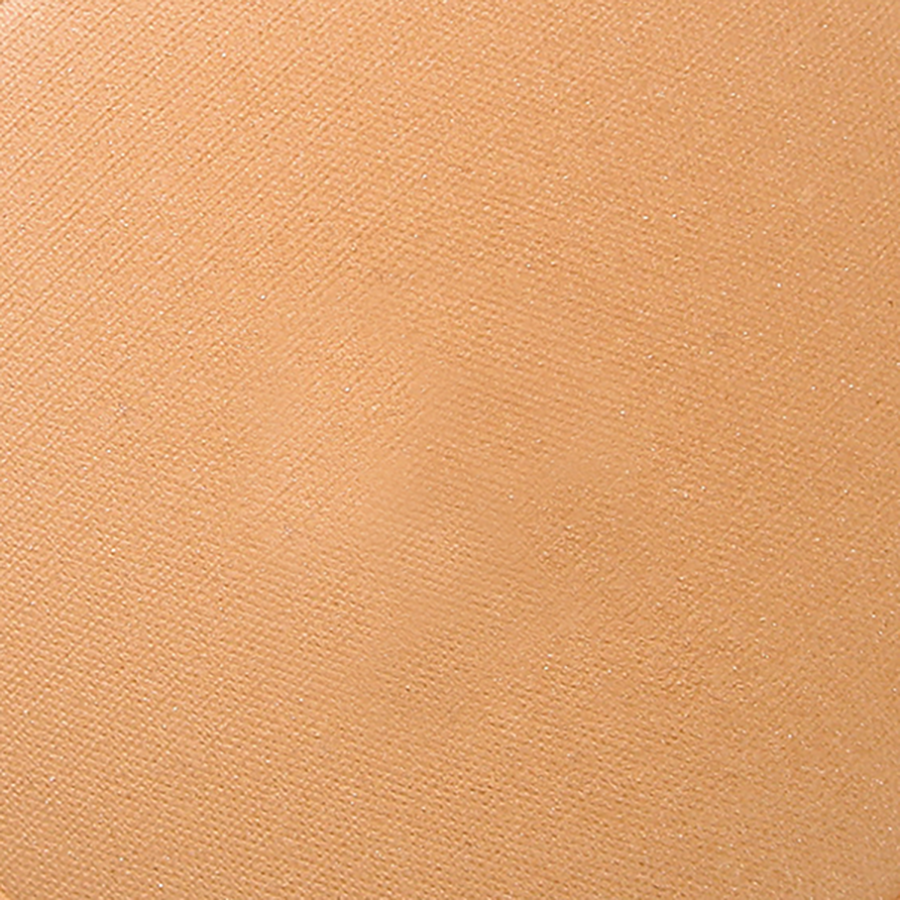 101341_COLOR_341