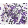 fleurs_violet
