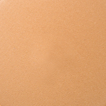 101341_COLOR_341