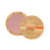 101323