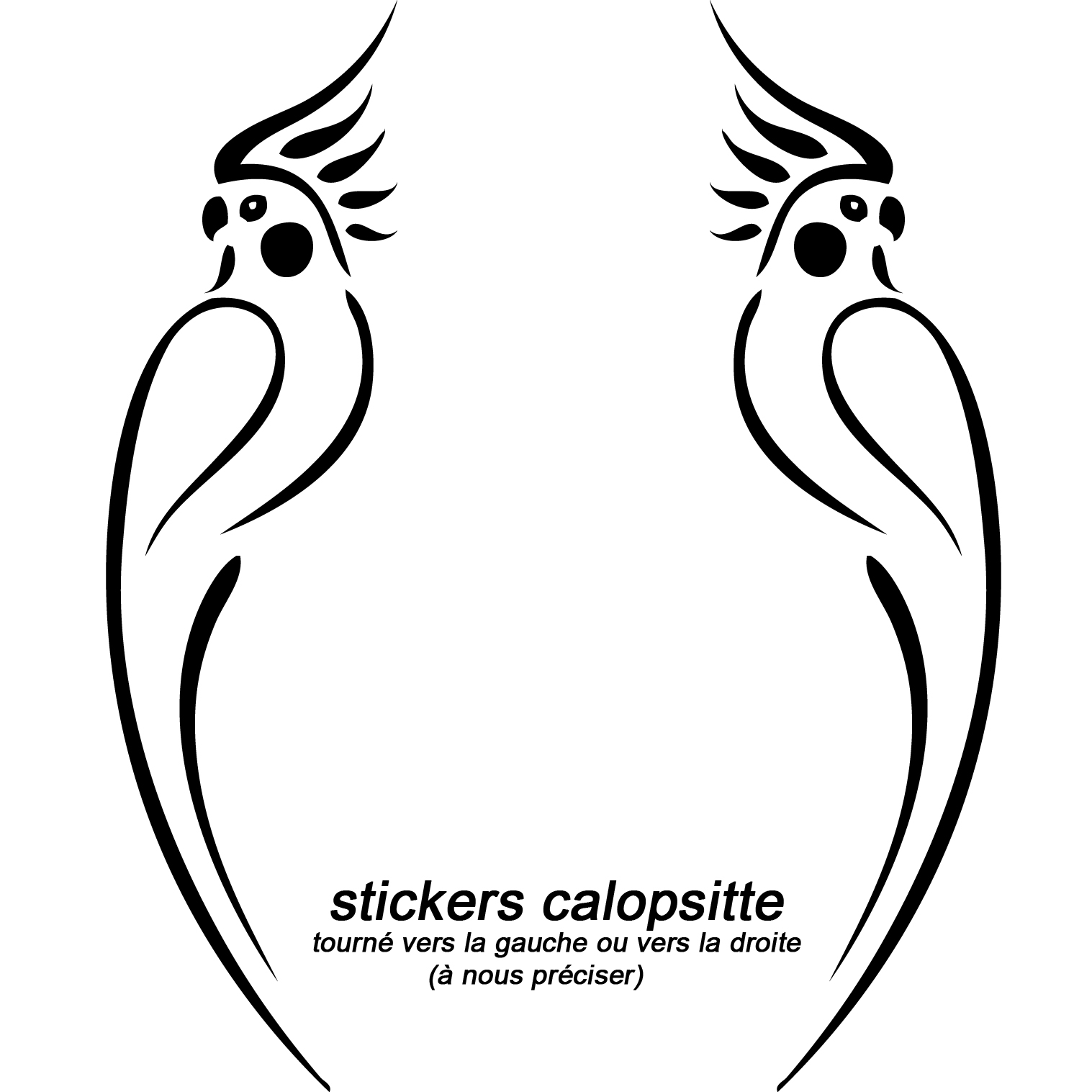 calopsittes