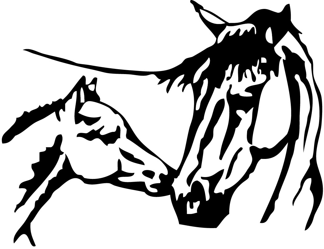 stickers cheval et son poulain