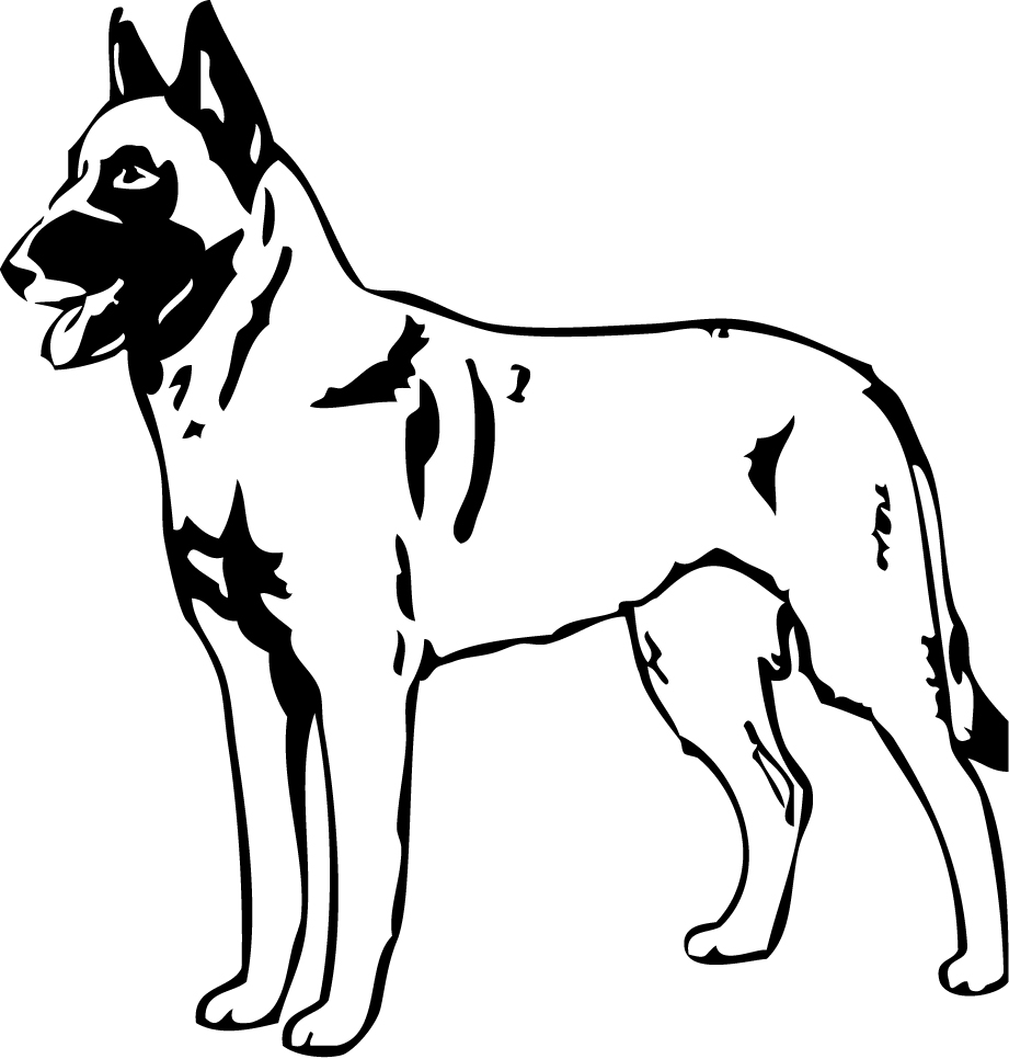 Stickers autocollant chien Malinois 01