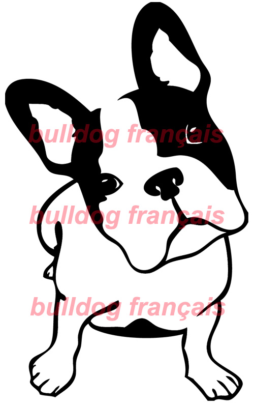 stickers autocollant chien bulldog francais copie