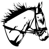 Sticker Tête de cheval pur sang réf02