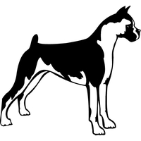Stickers autocollant chien Boxer 04