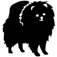 Stickers autocollant chien Loulou de Poméranie