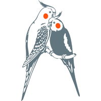 Stickers oiseaux couple de calopsittes