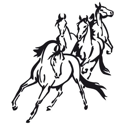 stickers 4 chevaux en liberté