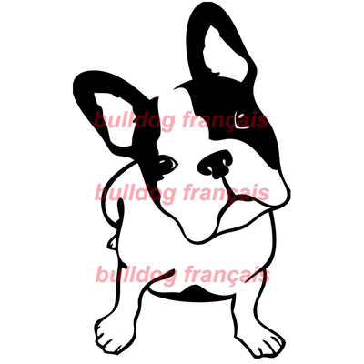 stickers autocollant chien bulldog francais copie