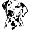 Stickers autocollant chien dalmatien