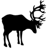 Stickers silhouette cerf 2