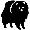 Stickers autocollant chien Loulou de Poméranie