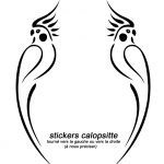 calopsittes