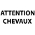 STICKER ATTENTION CHEVAUX