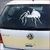 Stickers araignée