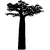 Stickers BAOBAB