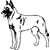 MALINOIS 1