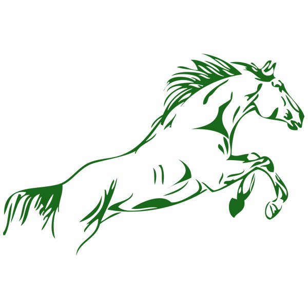 Autocollants De Remplissage Pour Saut De Cheval – 140x60 Cm (Lot De 2)