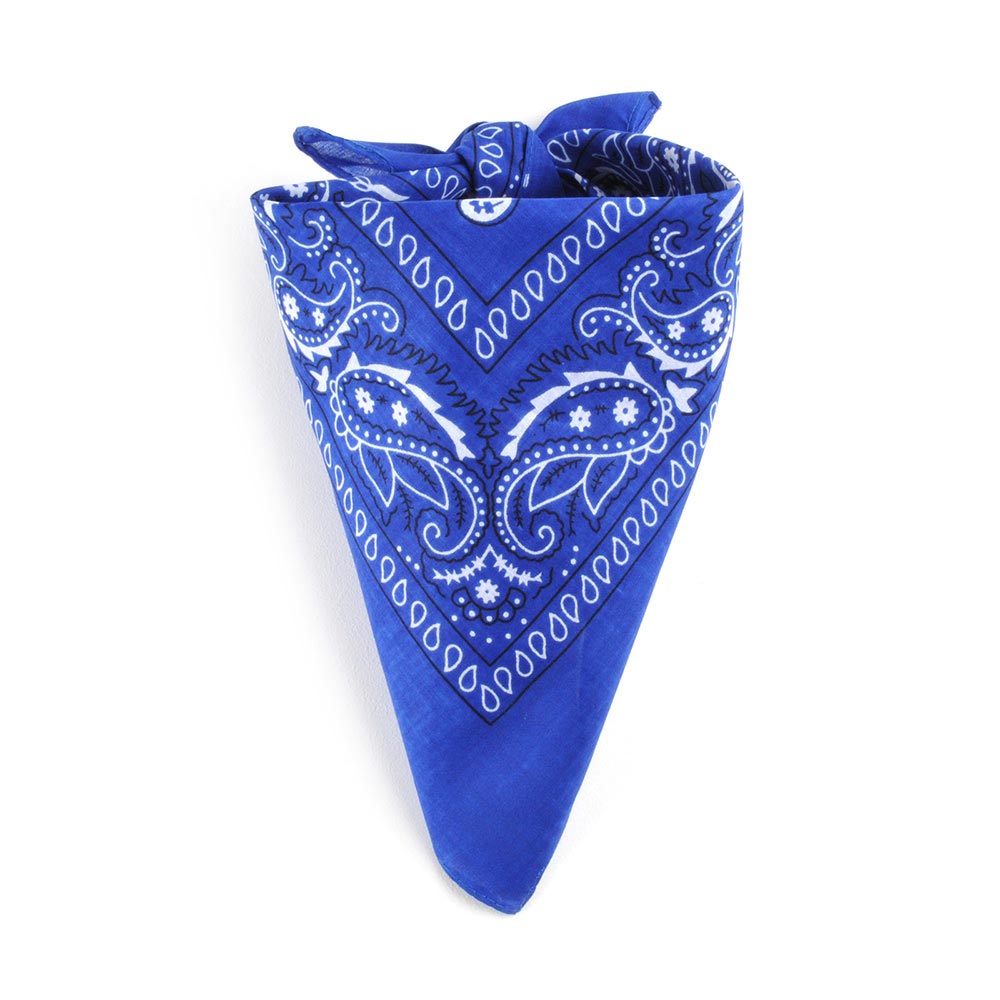 AT-00143-F10-foulard-bandana-bleu