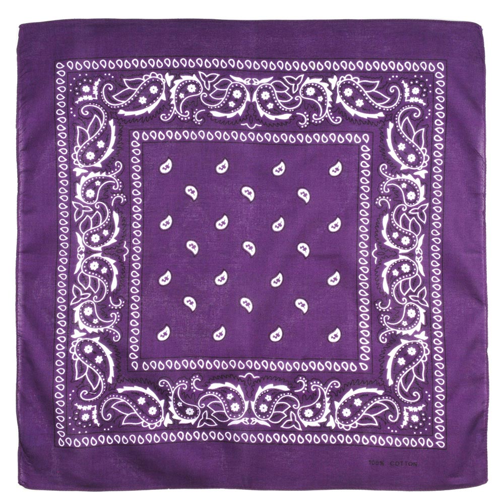 AT-00147-A10-foulard-bandana-violet