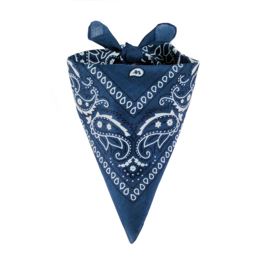 AT-05550-F10-foulard-bandana-bleu-sombre