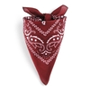 AT-00141-F10-foulard-bandana-bordeaux