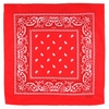 AT-00553-A10-foulard-bandana-rouge