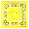 AT-01926-A10-foulard-bandana-jaune-pale