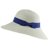 CP-00852-F10-chapeau-femme-bords-larges-gris-noeud-bleu