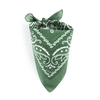 AT-04926-F10-foulard-bandana-vert-olive