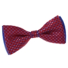 _Noeud-papillon-damier-rouge-bleu